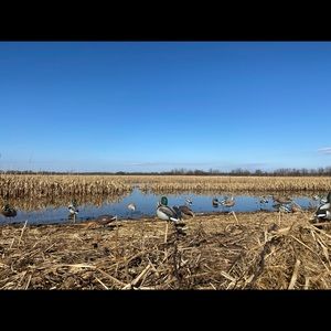 Meet your Posher, Tim